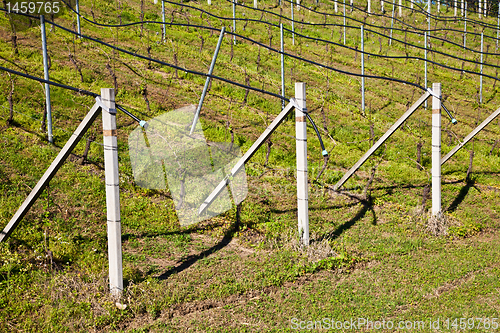Image of Vineyard irrigation system