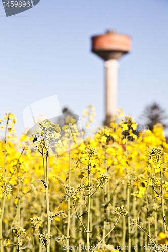 Image of Country and water tower