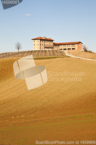 Image of Italian villa with vineyard: spring season