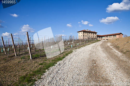 Image of Italian villa with vineyard: spring season