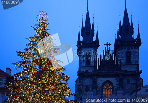 Image of Christmas tree in Prague - orizontal