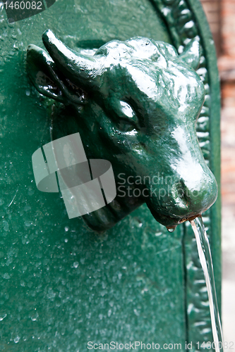 Image of Bull fountain