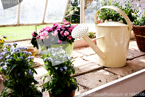 Image of Garden - Watering can