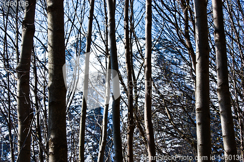 Image of Italy - Parco del Gran Paradiso