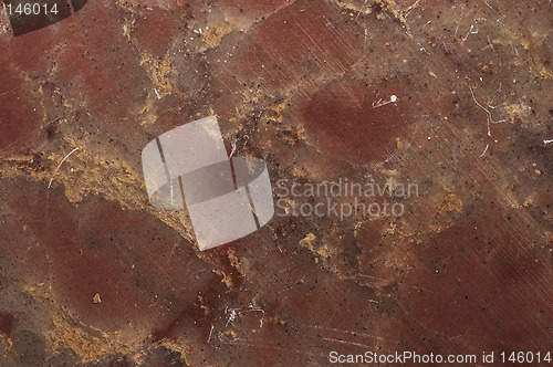 Image of Marble slap close-up