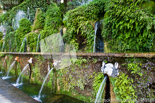 Image of Villa d'Este - Tivoli