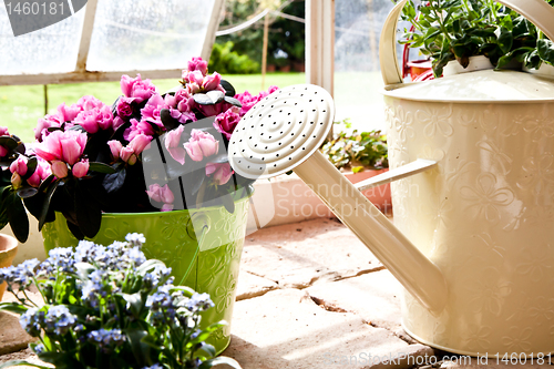 Image of Garden - Watering can