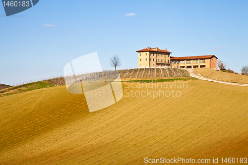 Image of Italian villa with vineyard: spring season