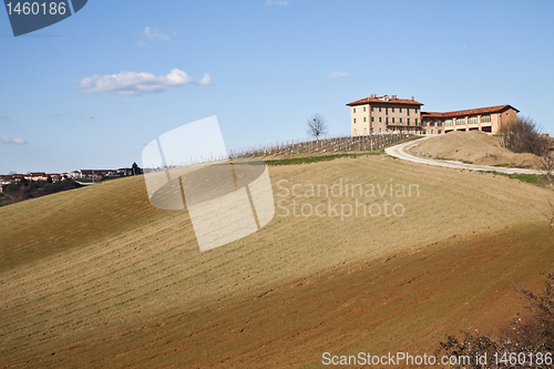 Image of Italian villa with vineyard: spring season