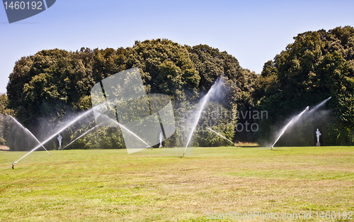 Image of Luxury garden: irrigation