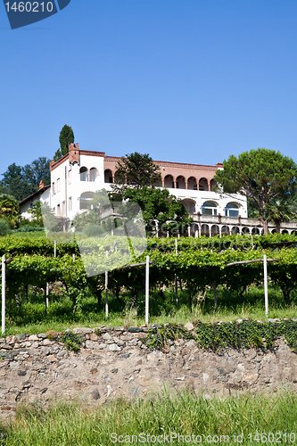 Image of Italian charming villa in vineyard