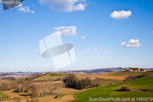 Image of Italian villa with vineyard: spring season