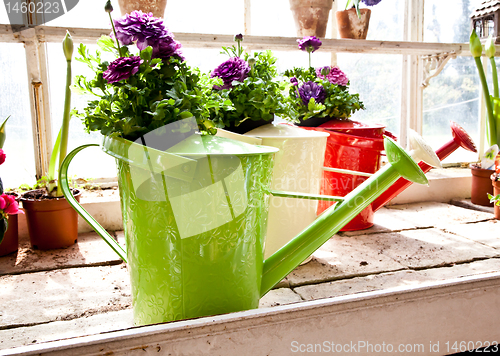 Image of Garden - Watering can