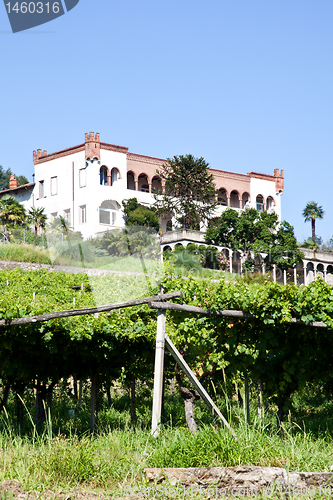 Image of Italian charming villa in vineyard