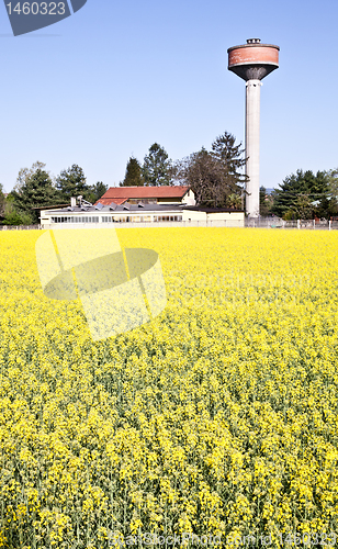 Image of Country and water tower