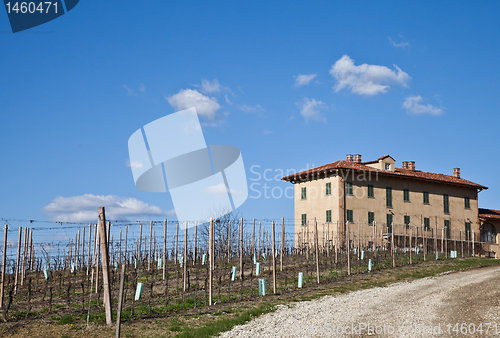 Image of Italian villa with vineyard: spring season