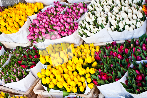 Image of Amsterdam flowers market