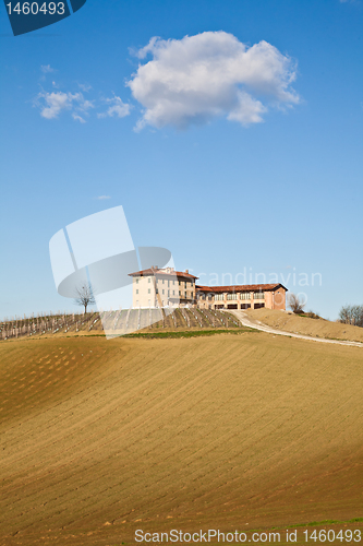 Image of Italian villa with vineyard: spring season