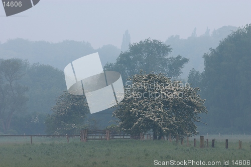 Image of Trees and fences 2