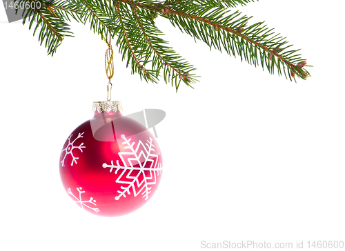 Image of red ball hanging from spruce christmas tree