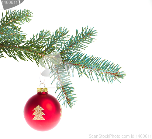 Image of red christmas ball on branch