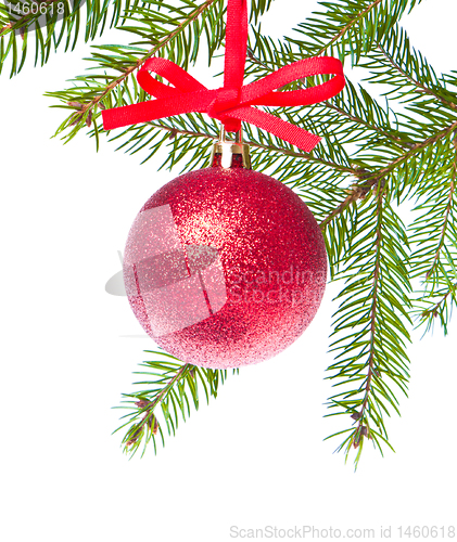 Image of red christmas ball hanging from tree