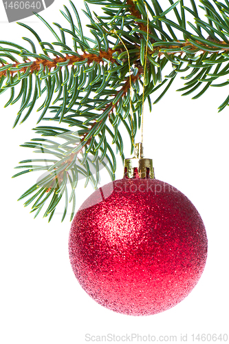 Image of christmas ball on branch