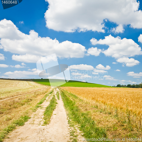 Image of agriculture landscape