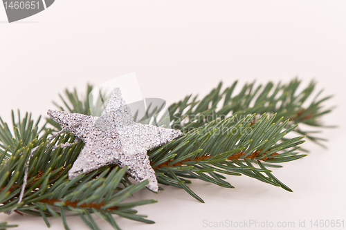 Image of Christmas tree with star