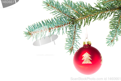 Image of red christmas ball on branch