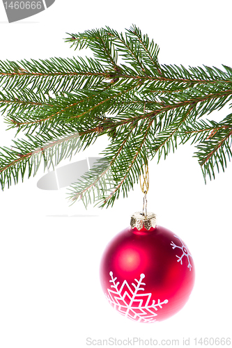 Image of red ball hanging from spruce christmas tree