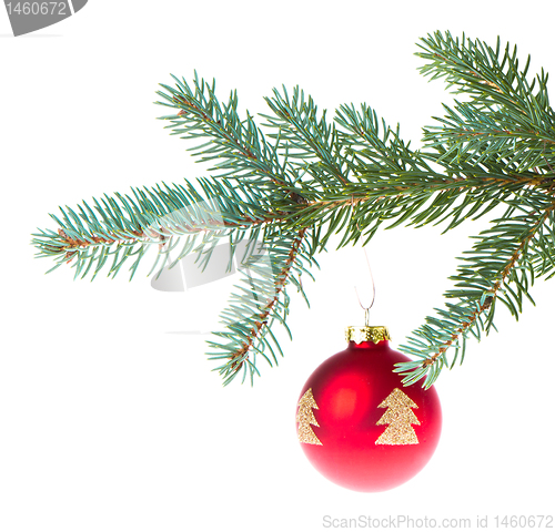 Image of red christmas ball on branch