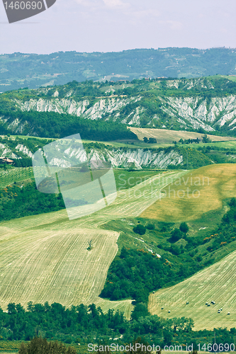 Image of Typical Tuscan landscape