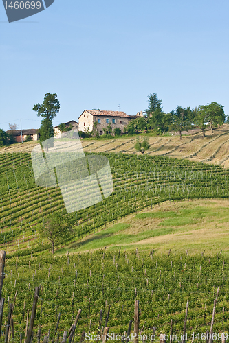 Image of Typical Tuscan landscape