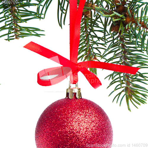 Image of red christmas ball hanging from tree