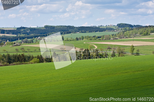 Image of green field