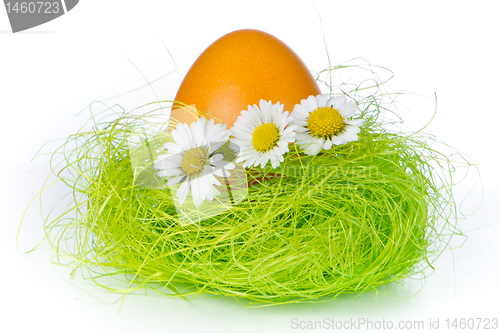 Image of easter egg in nest