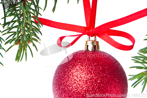 Image of red christmas ball hanging from tree