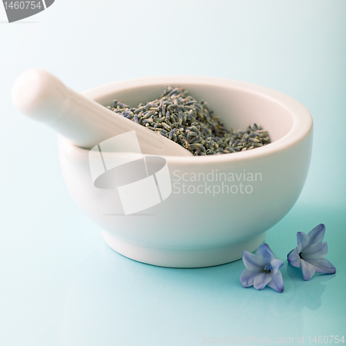 Image of spa assortment with lavender