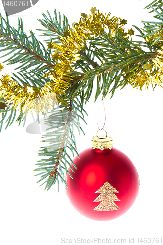 Image of red christmas ball on branch