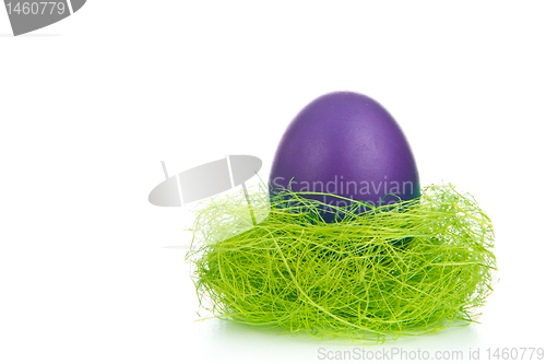Image of easter egg in nest