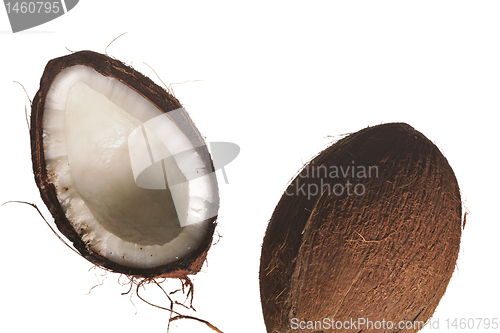 Image of coconut