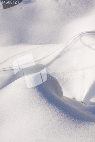 Image of fresh snow in the mountains
