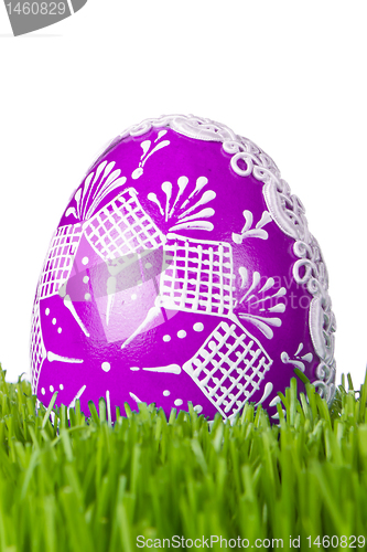 Image of easter egg in grass