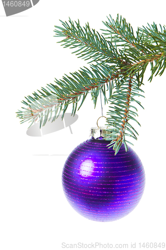 Image of ball hanging from spruce christmas tree