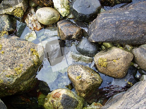 Image of Wet rocks