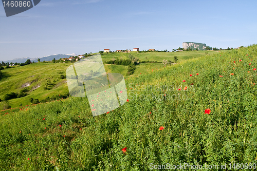 Image of Typical Tuscan landscape