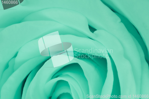 Image of green rose close up