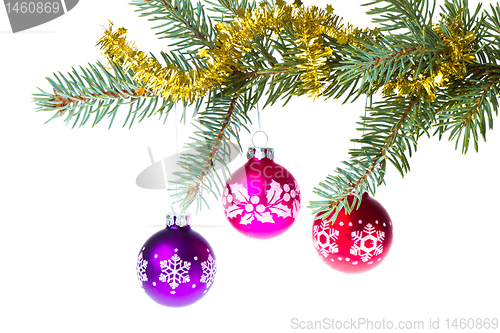 Image of christmas balls on spruce branch