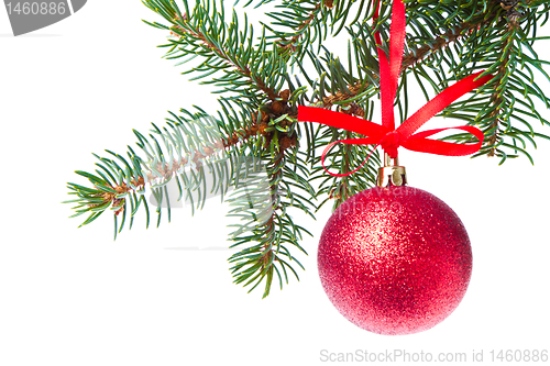 Image of red christmas ball hanging from tree